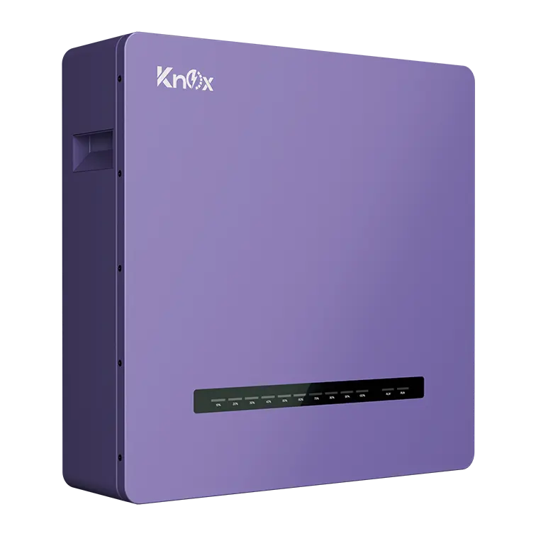 Powerwall 6.0 -IP20 (51.2V100AH)